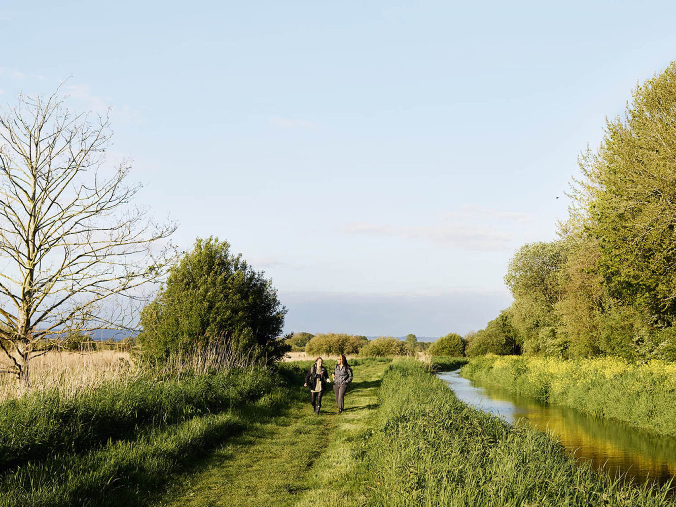 Waterlife Magazine - WWT - Jim Johnston
