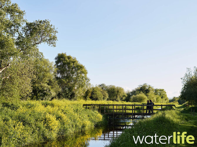 Waterlife Magazine Water Life Magazine